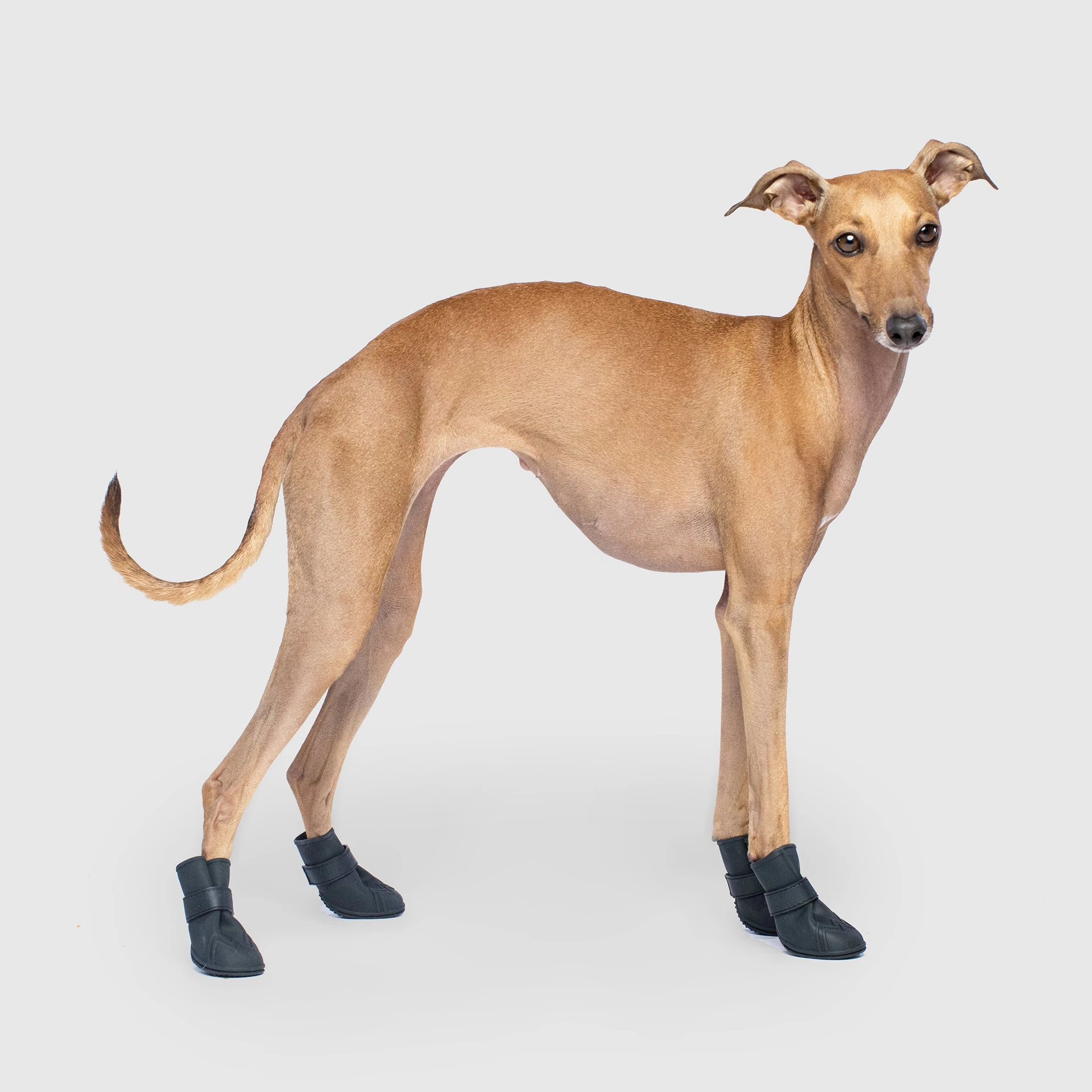 Unlined Wellies V9mz
