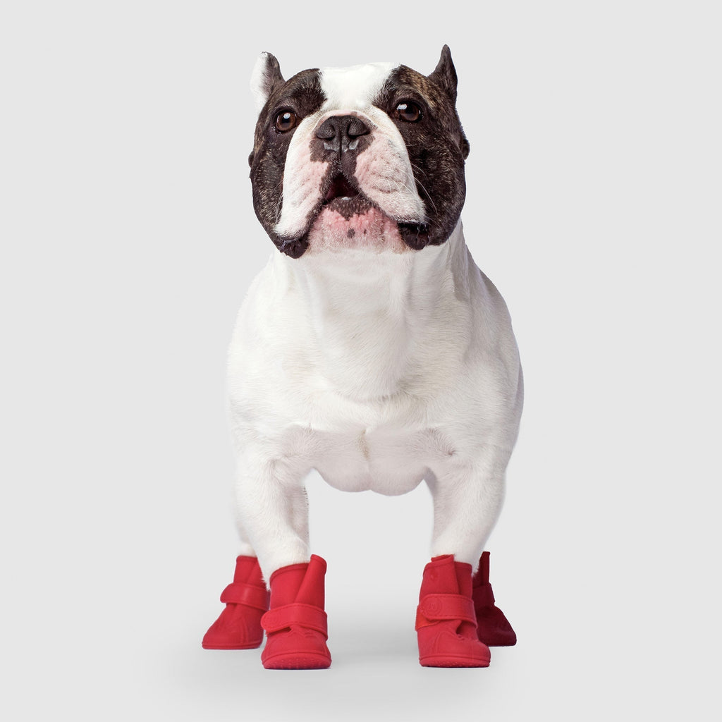 Unlined Wellies V9mz
