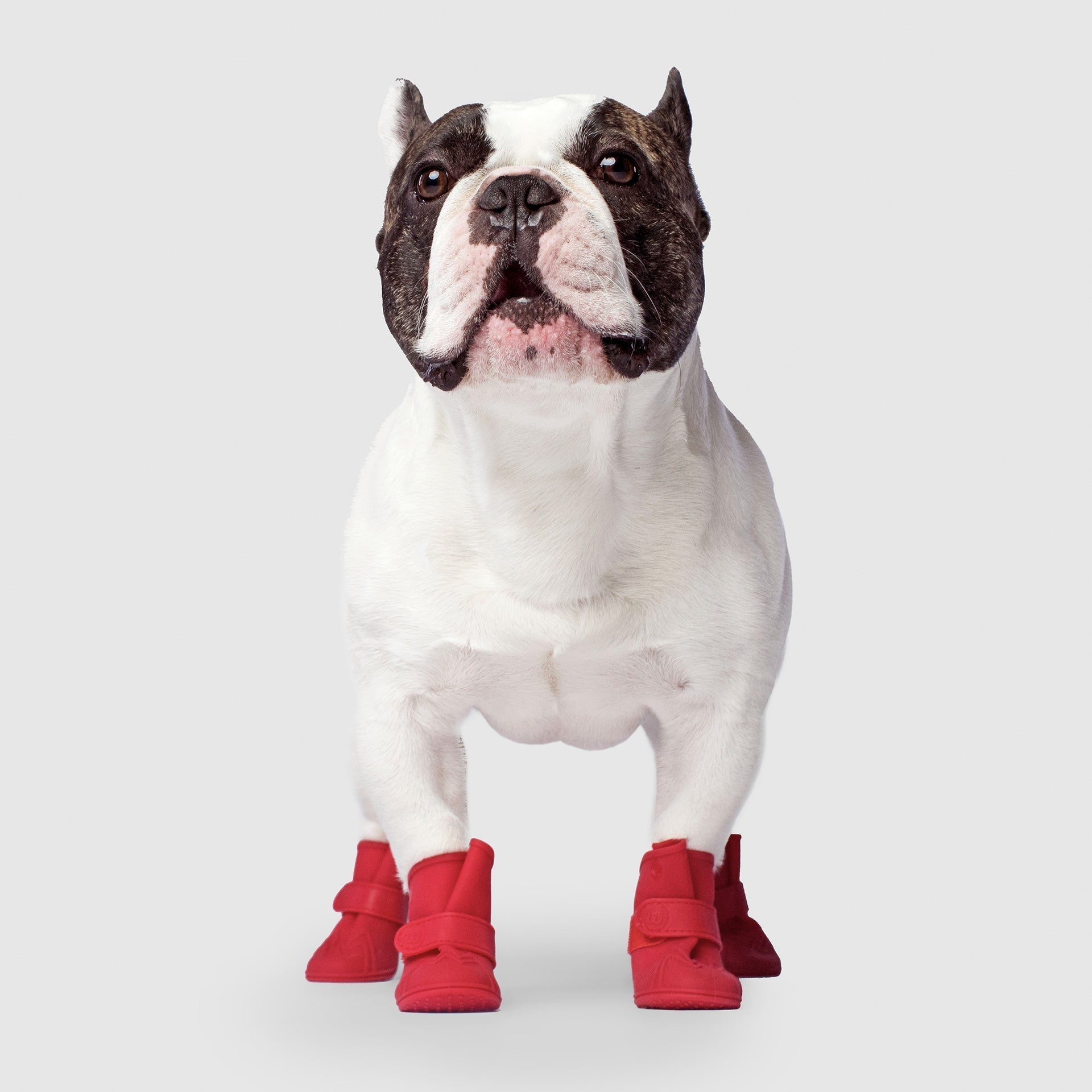 Unlined Wellies V9mz