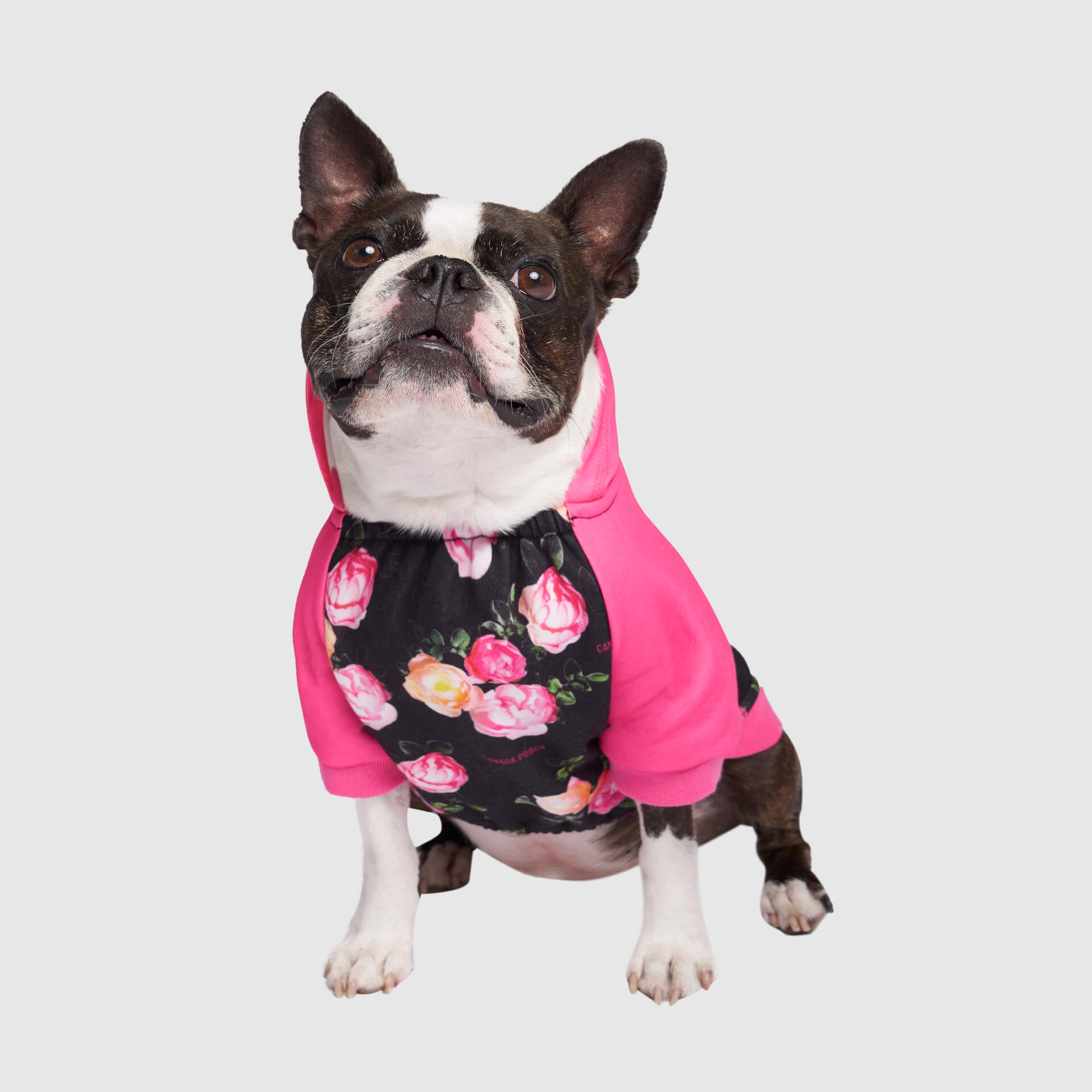 Whatever The Weather Hoodie J9oj
