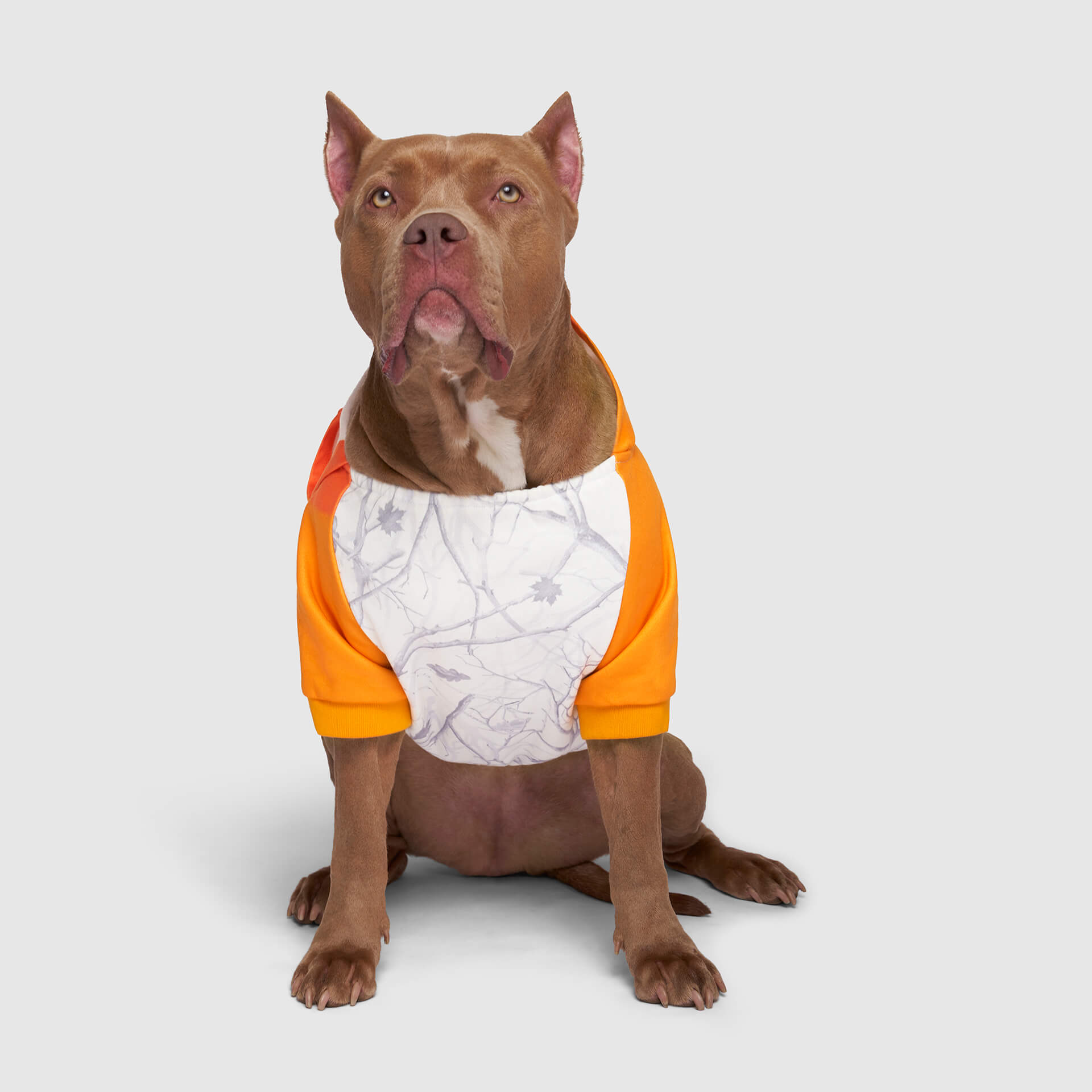 Whatever The Weather Hoodie J9oj